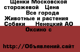 Щенки Московской сторожевой › Цена ­ 35 000 - Все города Животные и растения » Собаки   . Ненецкий АО,Оксино с.